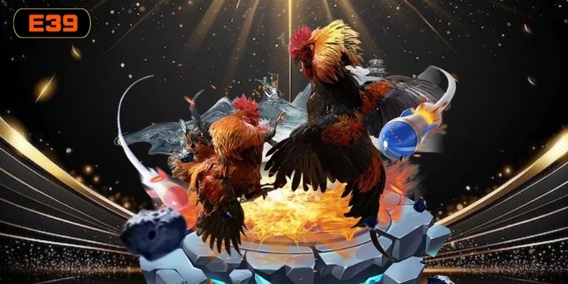 Yếu tố tác động đến việc chiến kê tung thế đá